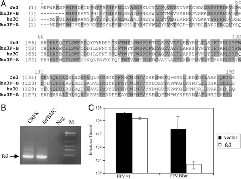 fefab|Antiviral activities of hydroxylated flavones on feline foamy viral ...